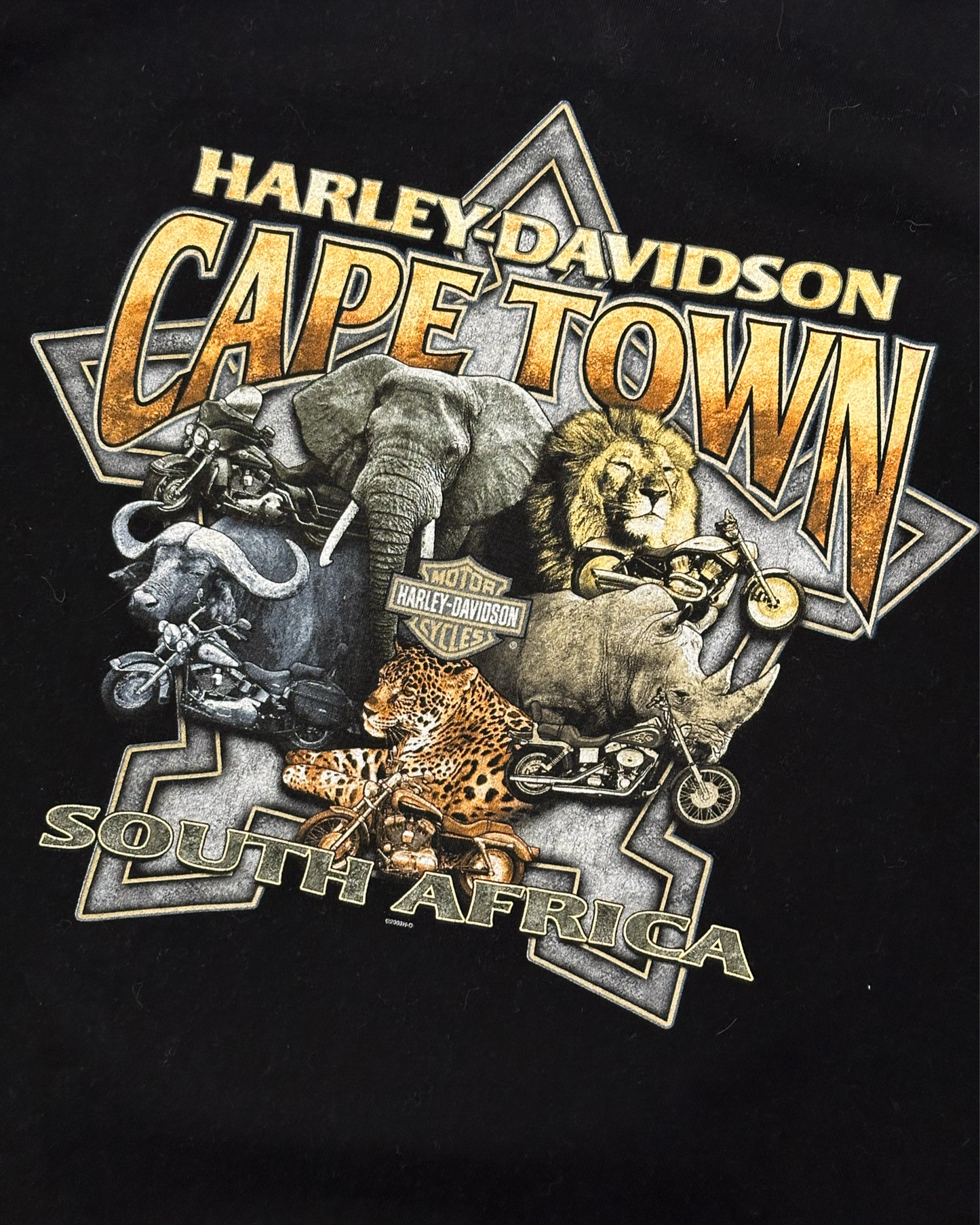 Harley Davidson Cape Town bolur XL